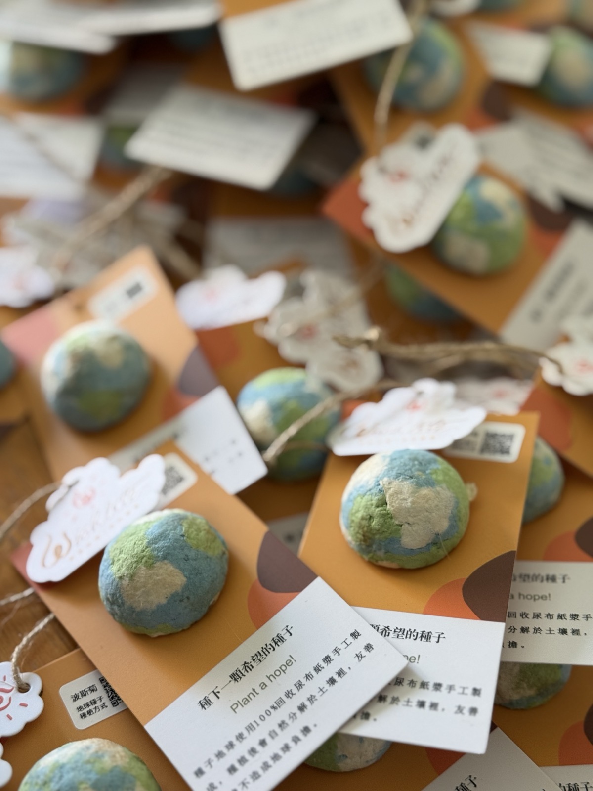 地球種子卡|Wishlite 品牌紙卡搭配